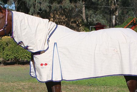 Zilcoスーパーガード着脱・ポニーコンボ