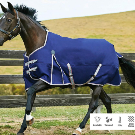 WBコンフィテック・エッセンシャル・ラグミディアム