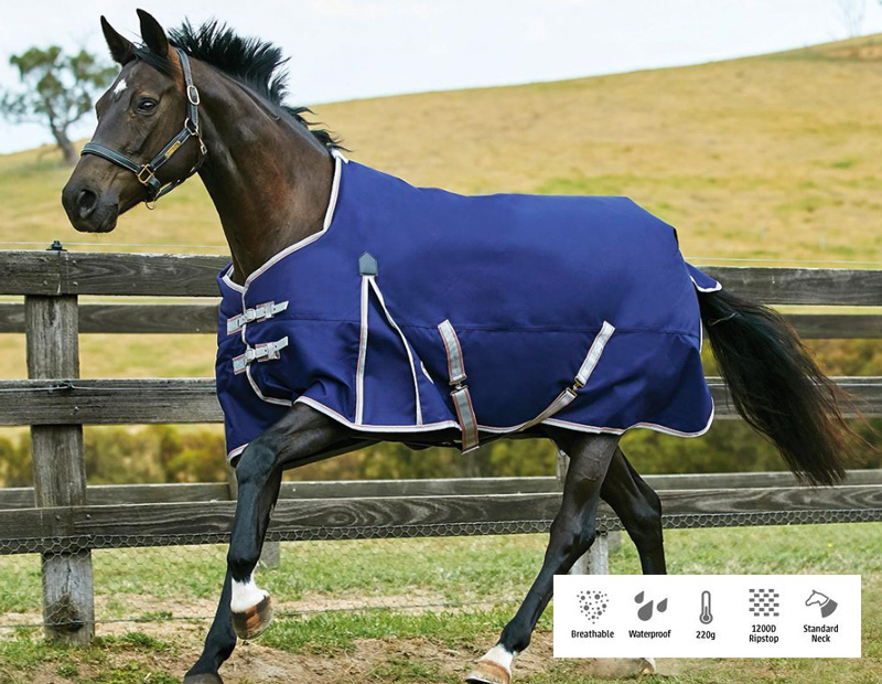 WBコンフィテック・エッセンシャル・ラグミディアム