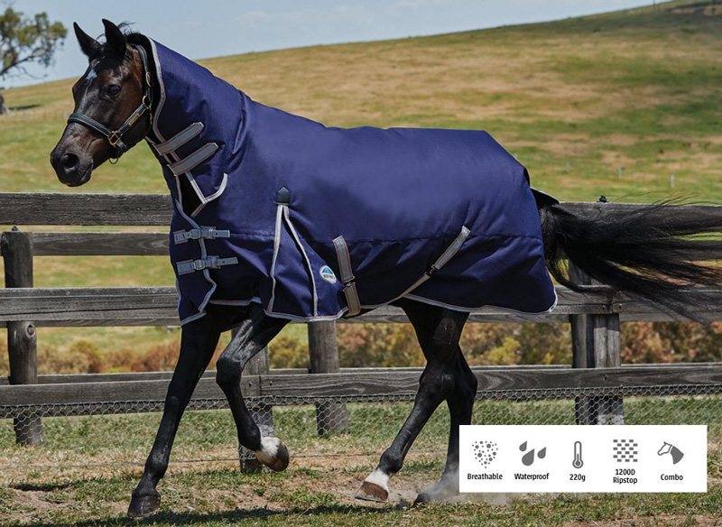 WBコンフィテック・エッセンシャル・コンボミディアム