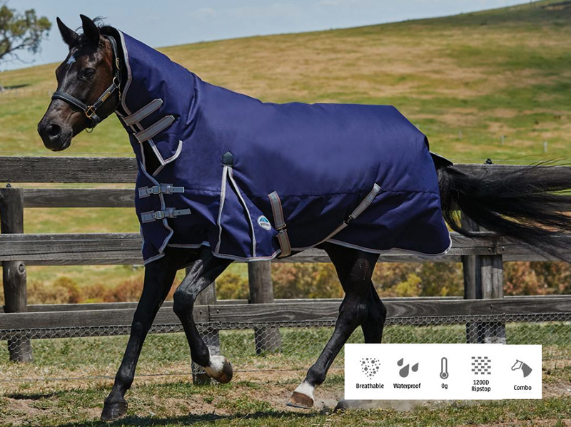 WBコンフィテック・エッセンシャル・コンボライト