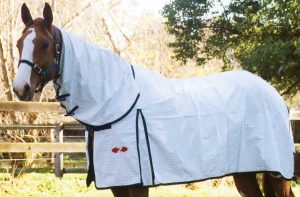 Zilco スーパーストップ・コンボ