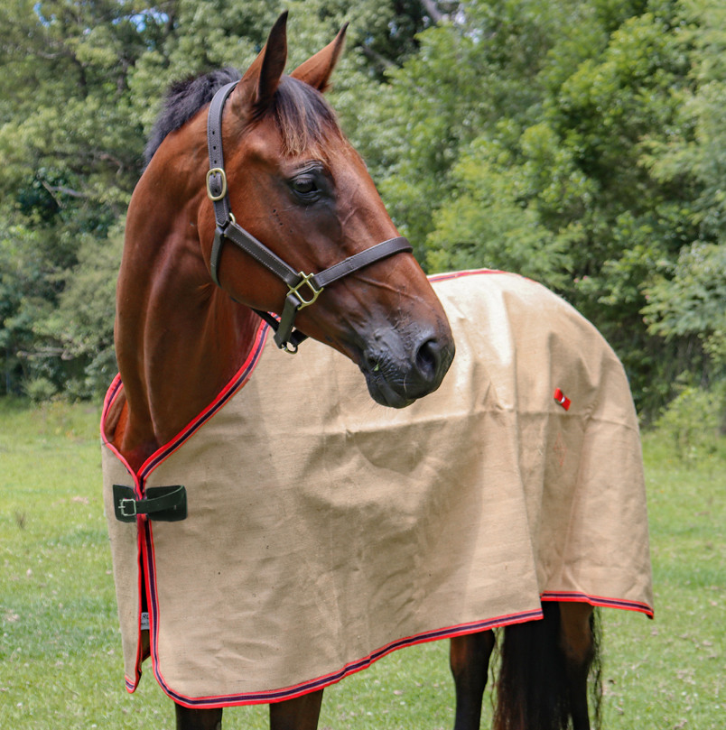 Zilcoジュートポニーラグ