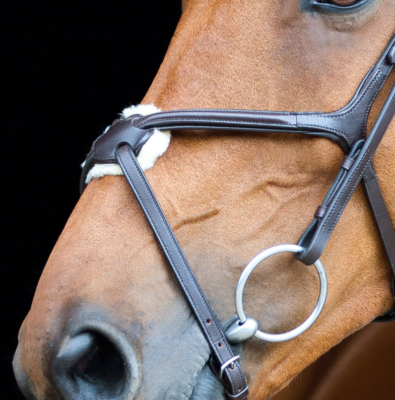 horzeプレスコット・クロス鼻革頭絡 br2