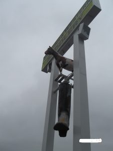 アメリカ乗馬用品店の看板2