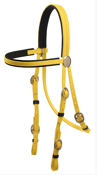 Zilcoブラス金具レースブライドル天井部分