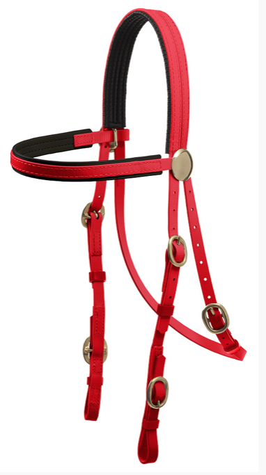 Zilcoブラス金具レースブライドル天井部分