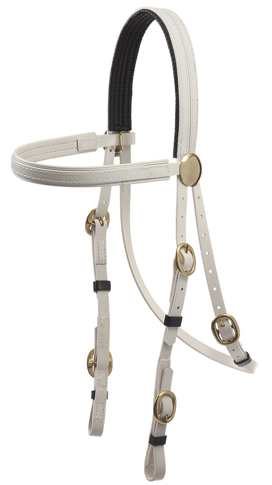 Zilcoブラス金具レースブライドル天井部分