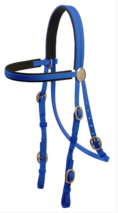 Zilcoブラス金具レースブライドル天井部分