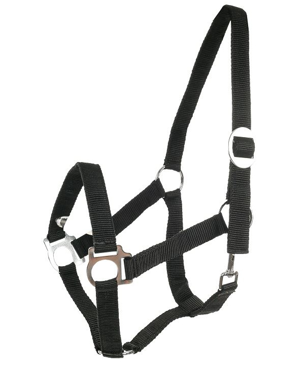 horzeベーシック無口