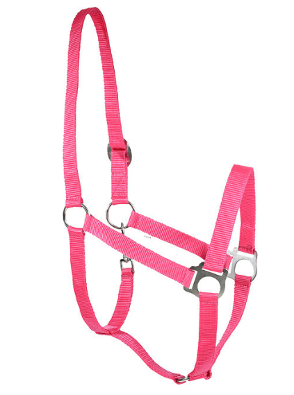 horzeベーシック無口