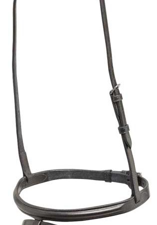 Aintree交換用コンビ鼻革