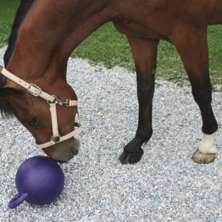 KERBL馬用おもちゃボール