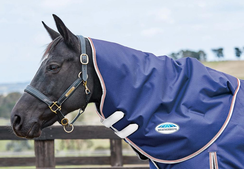 WBコンフィテック・エッセンシャル・ネックラグライト