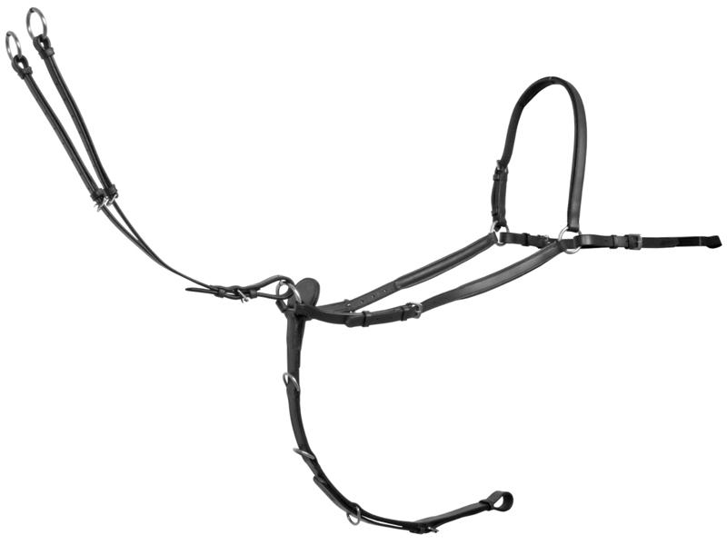 Platinum3ポイント胸ガイ