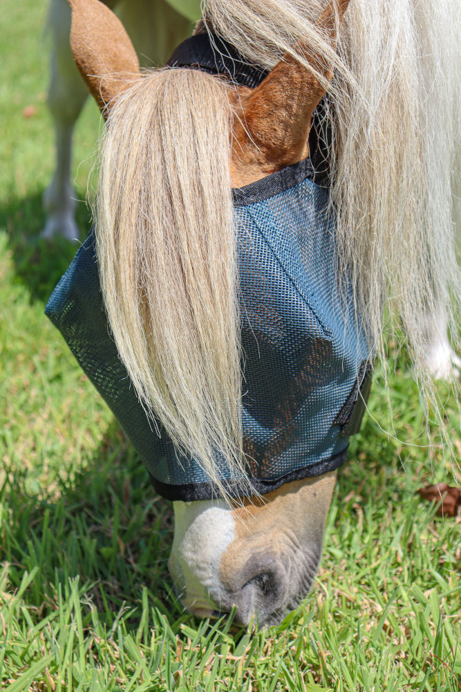 Zilcoメッシュフライ・マスク