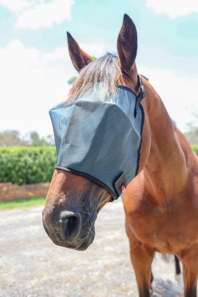 Zilcoメッシュフライ・マスク