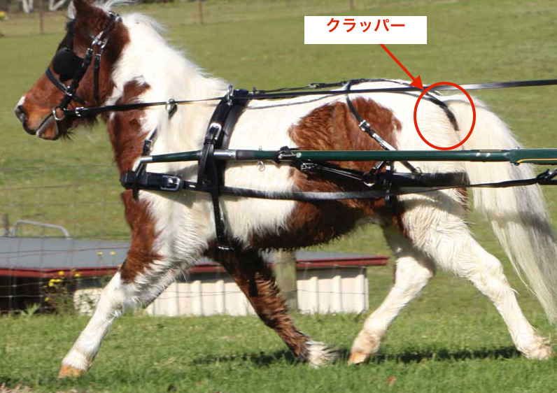 ZilcoSL馬車ハーネス・クラッパー