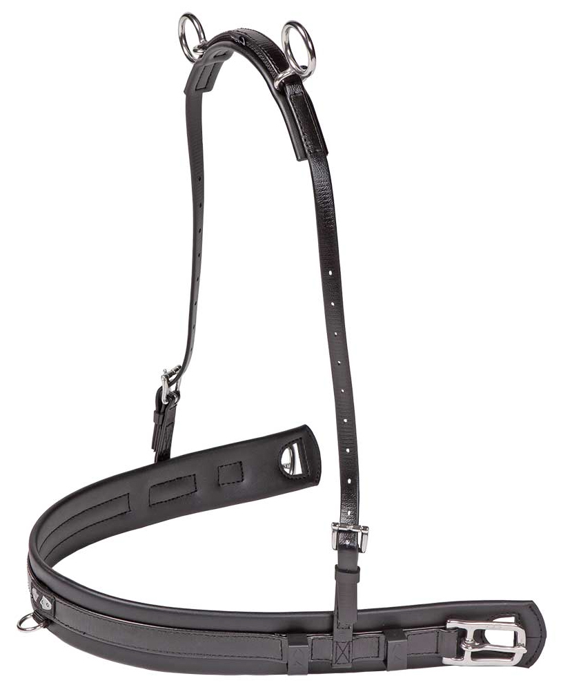 SOHOLOM 馬車に乗る男女 ラビットで繋がる輪が 日本中にどんどん広がって 人生ますます