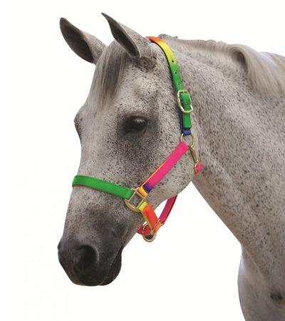 Romaレインボー無口