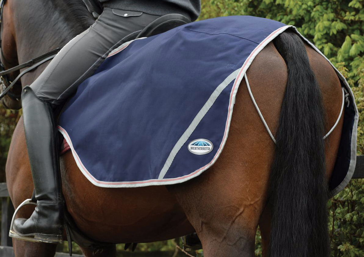 Weatherbeeta600Dエクササイズシート