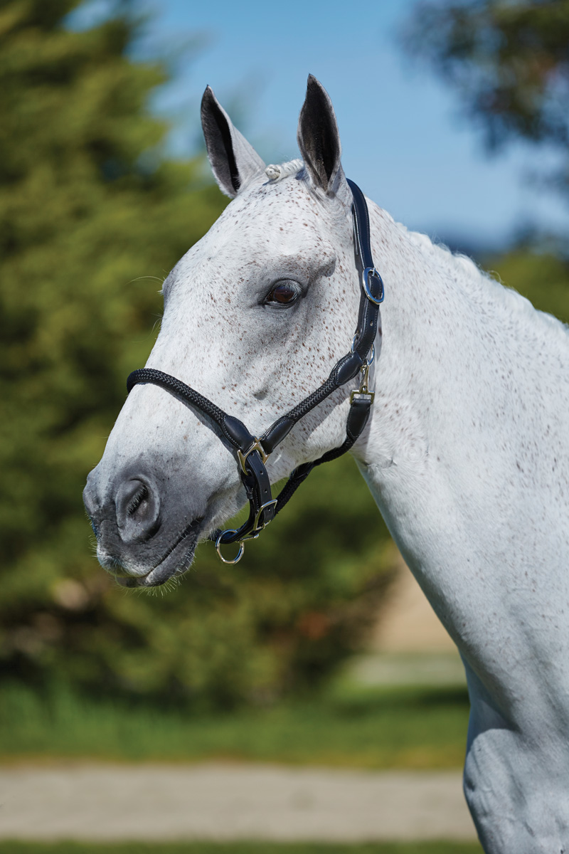 Kincade革&ロープ無口