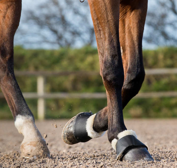 horzeシグネチャー・ベルブーツ