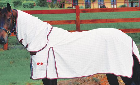 Zilcoエコノストップ・ポニーコンボ