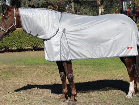 Zilcoエコノエアー・ポニーコンボ