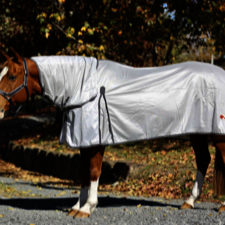 Zilcoエコノエアー・ポニーコンボ