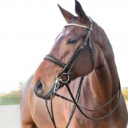 horzeレリア大勒ハミ用革手綱 - 馬具・乗馬用品のサジタリアス