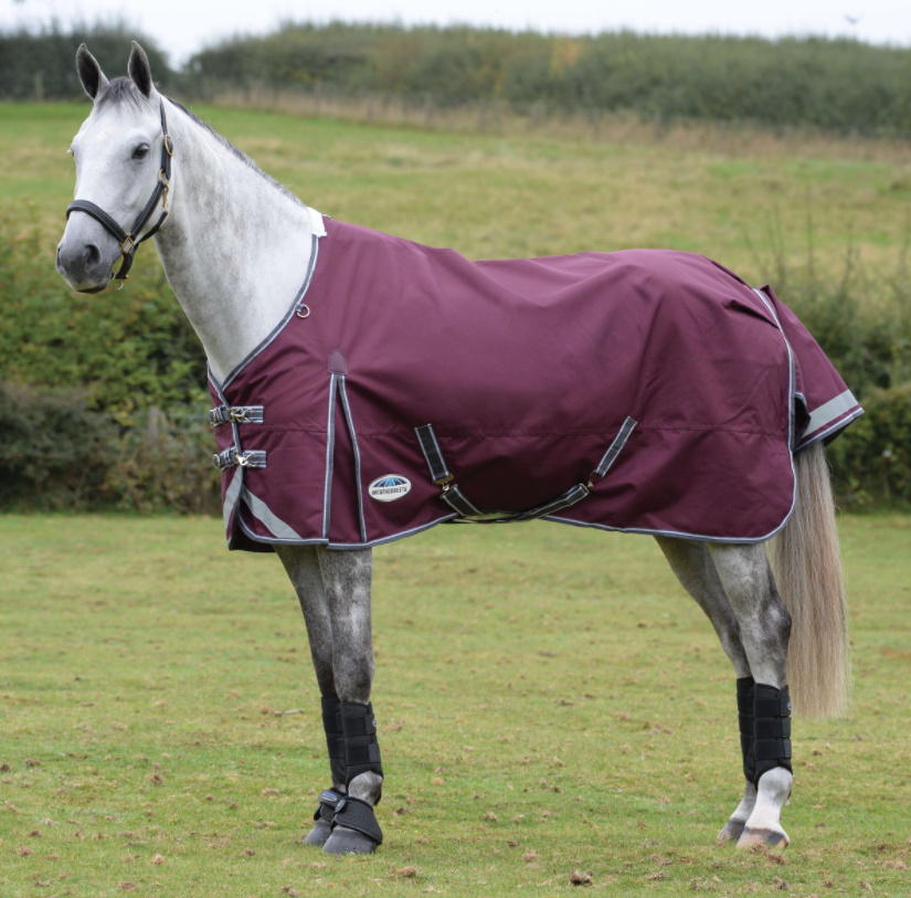 Weatherbeetaコンフィテック・プラスダイナミックII・ポニーラグミディアムライト