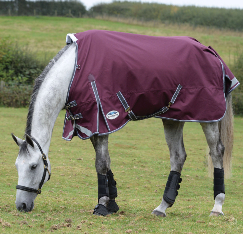 Weatherbeetaコンフィテック・プラスダイナミックII・ポニーラグミディアムライト