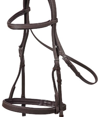 Zilco調教用トレーニングブライドル