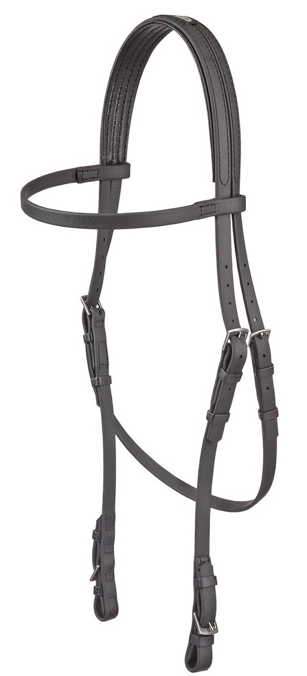 Zilcoeエプソン・レースブライドル天井部分