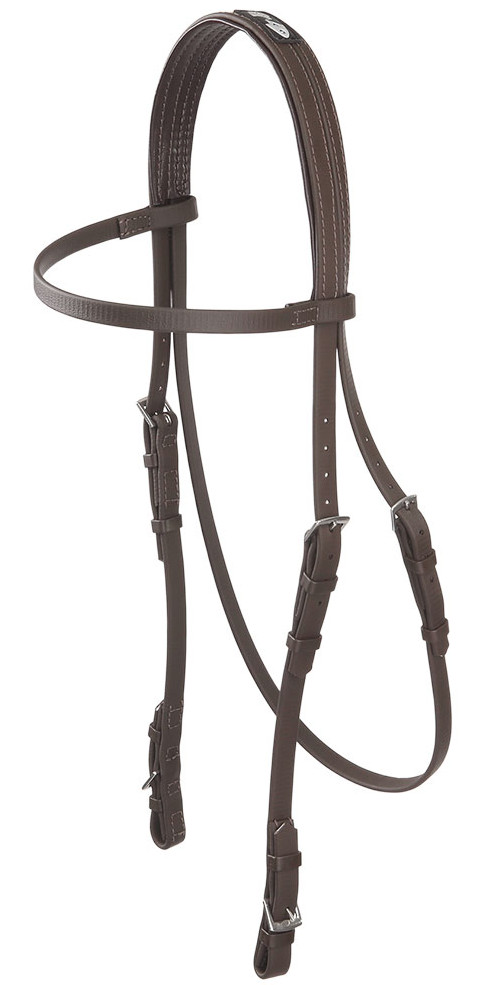 Zilcoeエプソン・レースブライドル天井部分