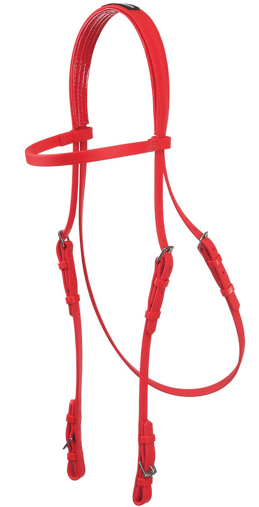 Zilcoeエプソン・レースブライドル天井部分