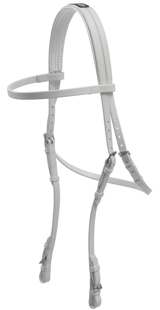 Zilcoeエプソン・レースブライドル天井部分