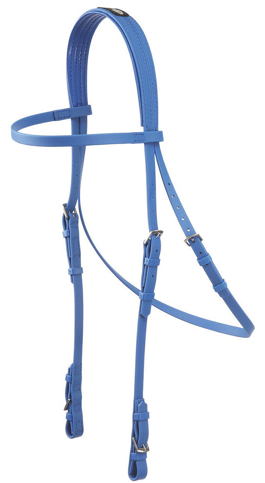 Zilcoeエプソン・レースブライドル天井部分