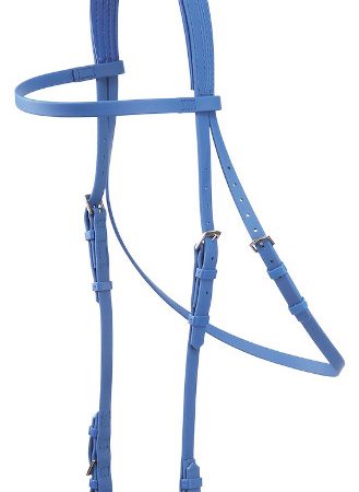 Zilcoeエプソン・レースブライドル天井部分