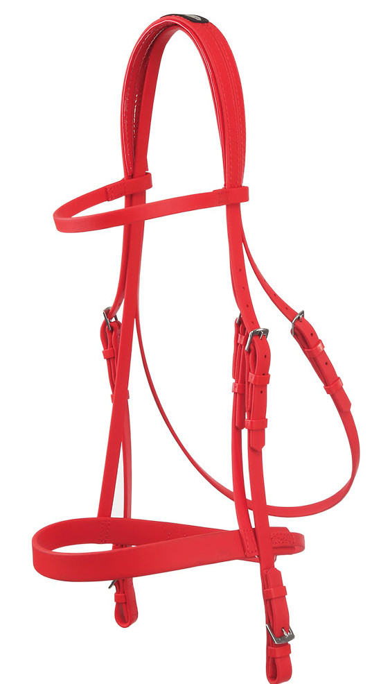 Zilcoeエプソン・レースブライドル