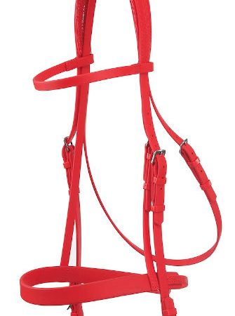 Zilcoeエプソン・レースブライドル