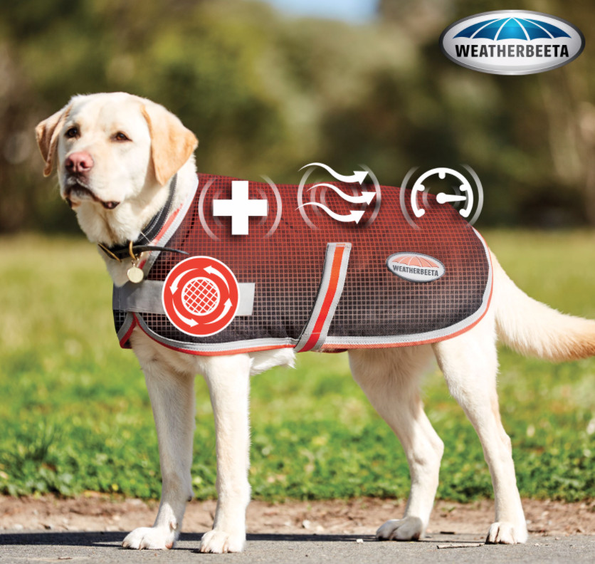 Weatherbeetaセラピーテック1200Dドッグコート