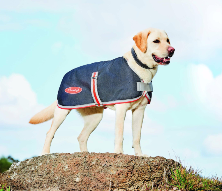 Weatherbeetaセラピーテック1200Dドッグコート