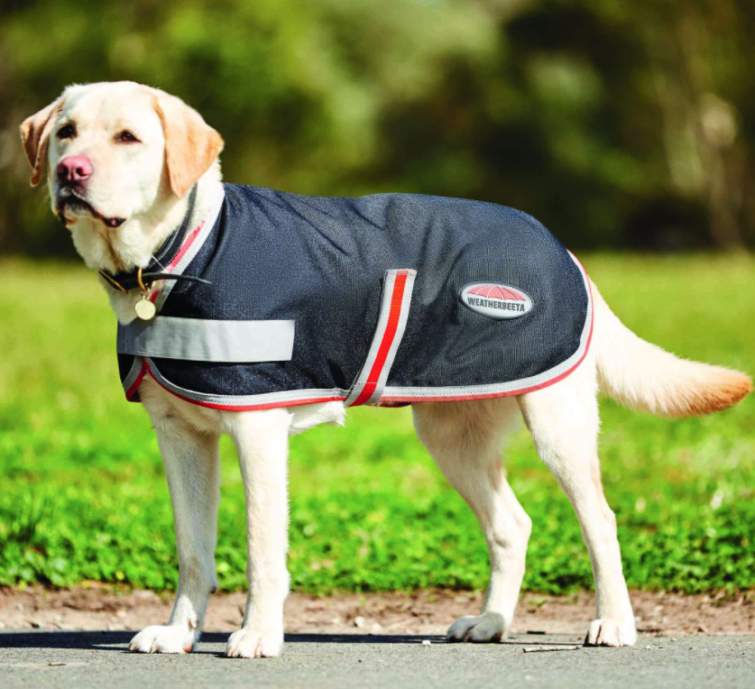 Weatherbeetaセラピーテック1200Dドッグコート