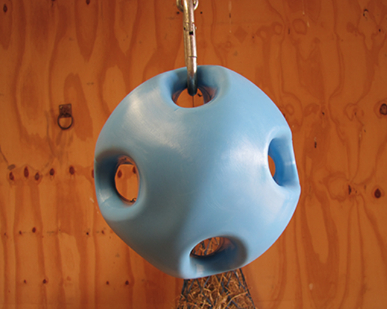 馬用おもちゃCarrot Ball - 画像 (5)