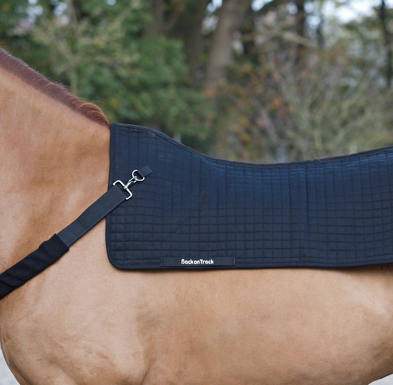 Back on Trackセラピック・ロイヤルホースバックウォーマー