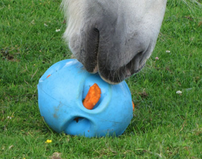 馬用おもちゃCarrot Ball - 画像 (3)