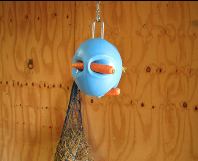 馬用おもちゃCarrot Ball - 画像 (6)