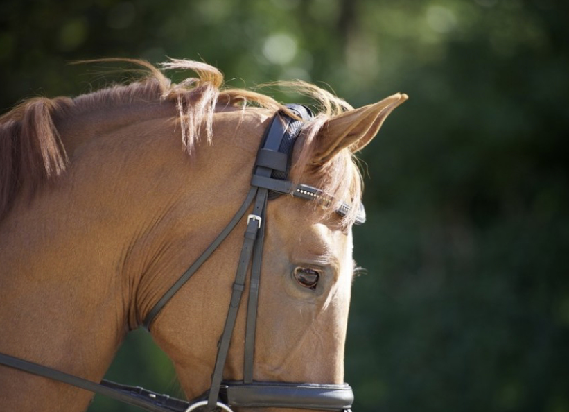Back on Trackセラピック・ポールウォーマー